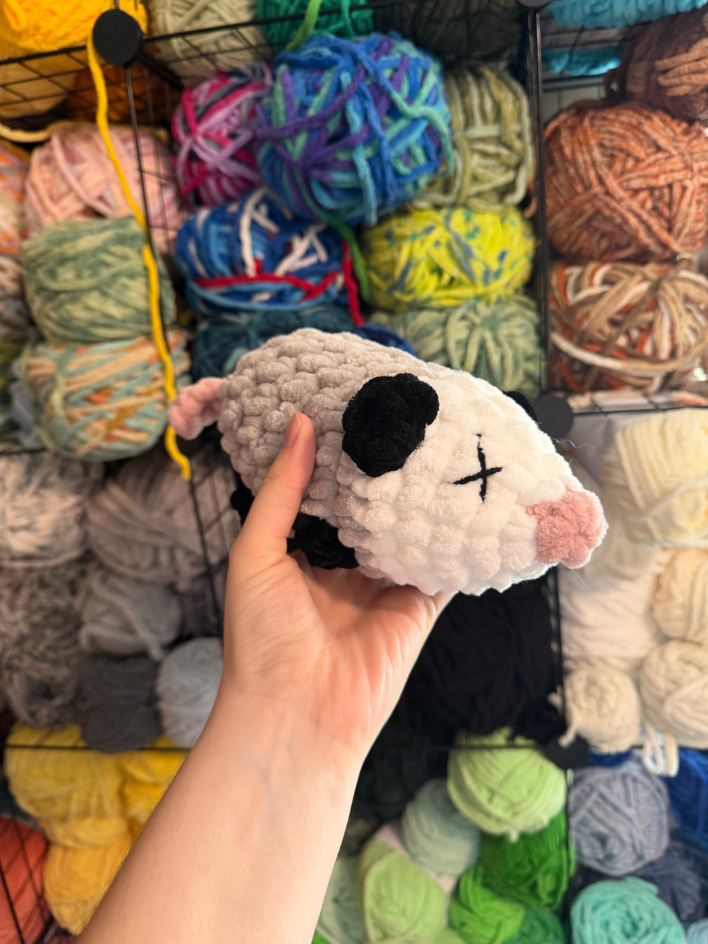 Opossum