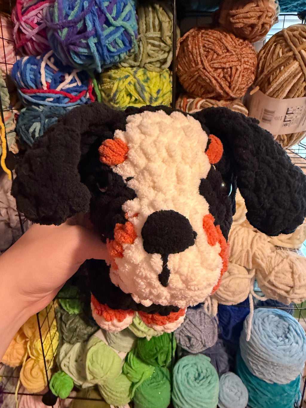 Dog
