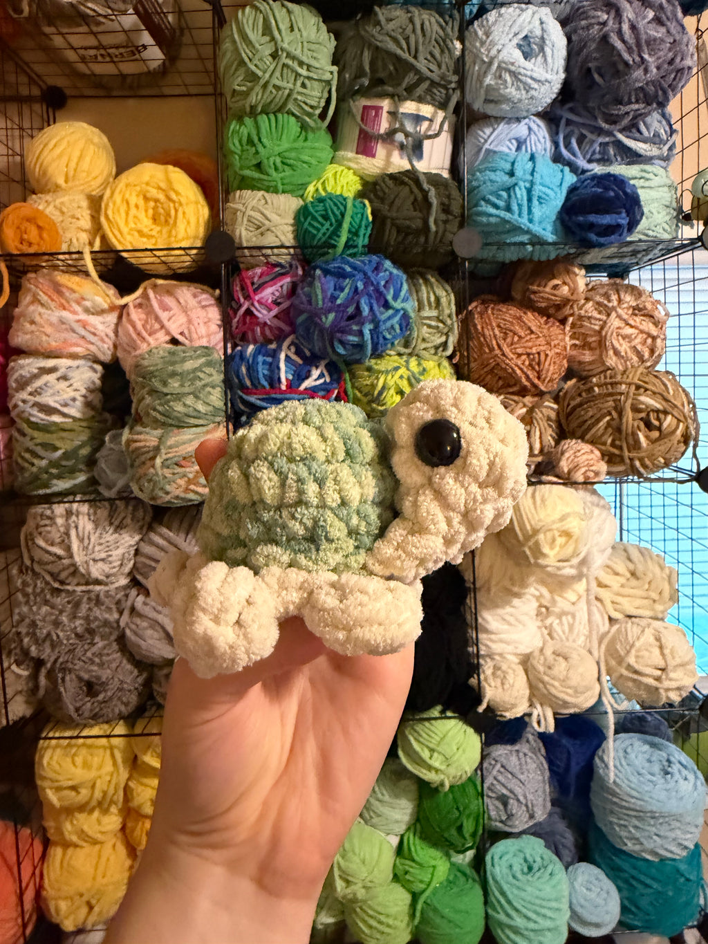 Small Turtle