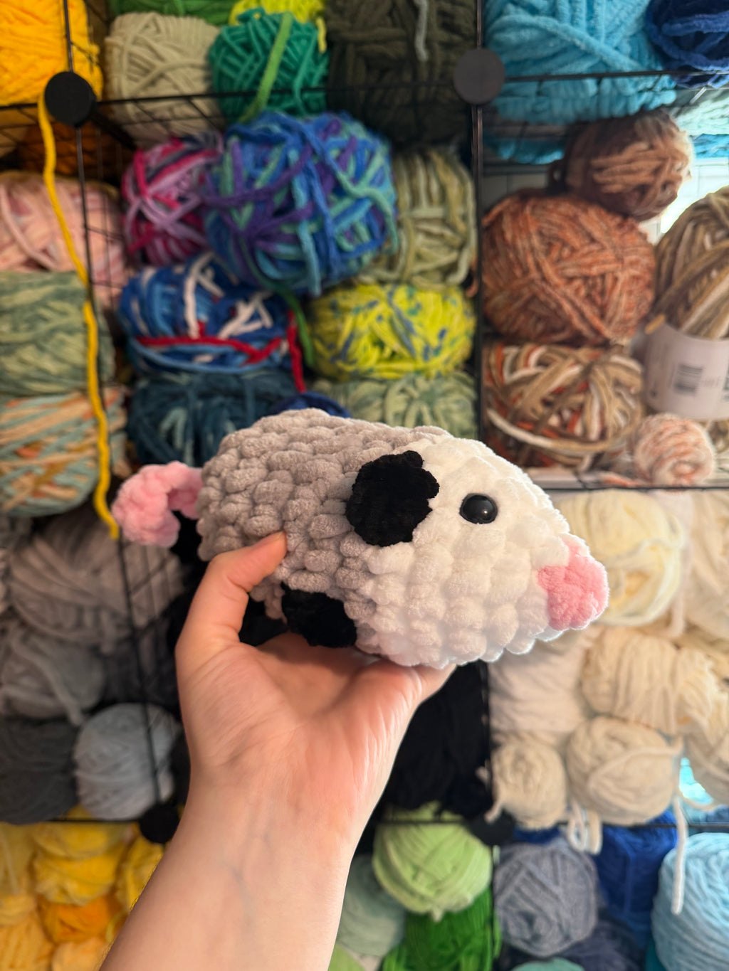 Opossum