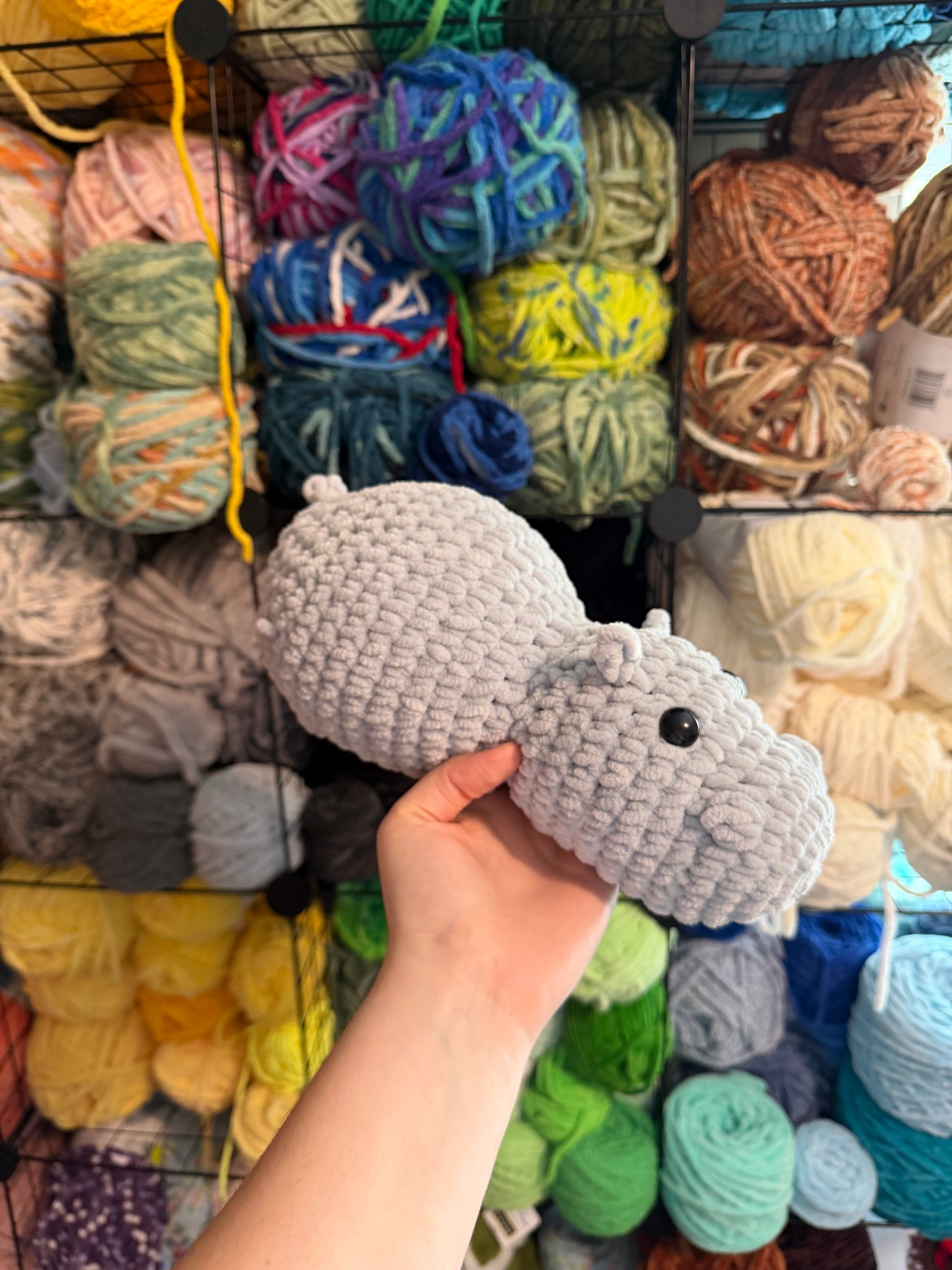 Hippo