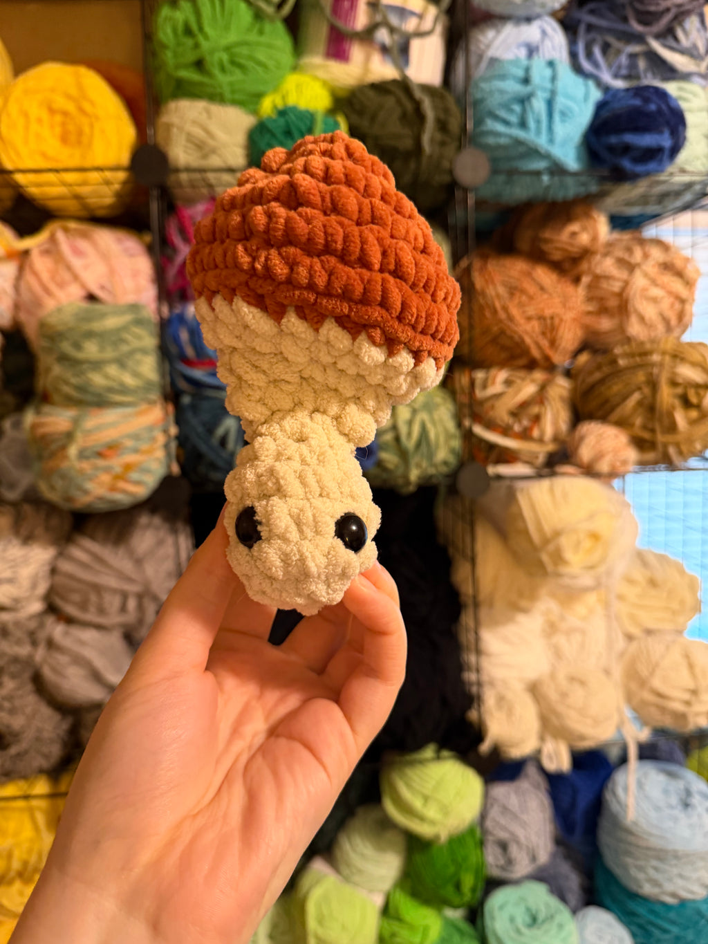 Mushroom Pop