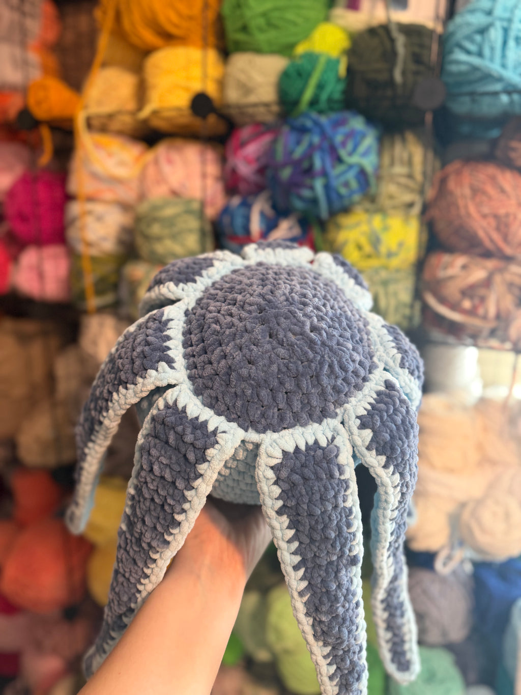 XL Octopus