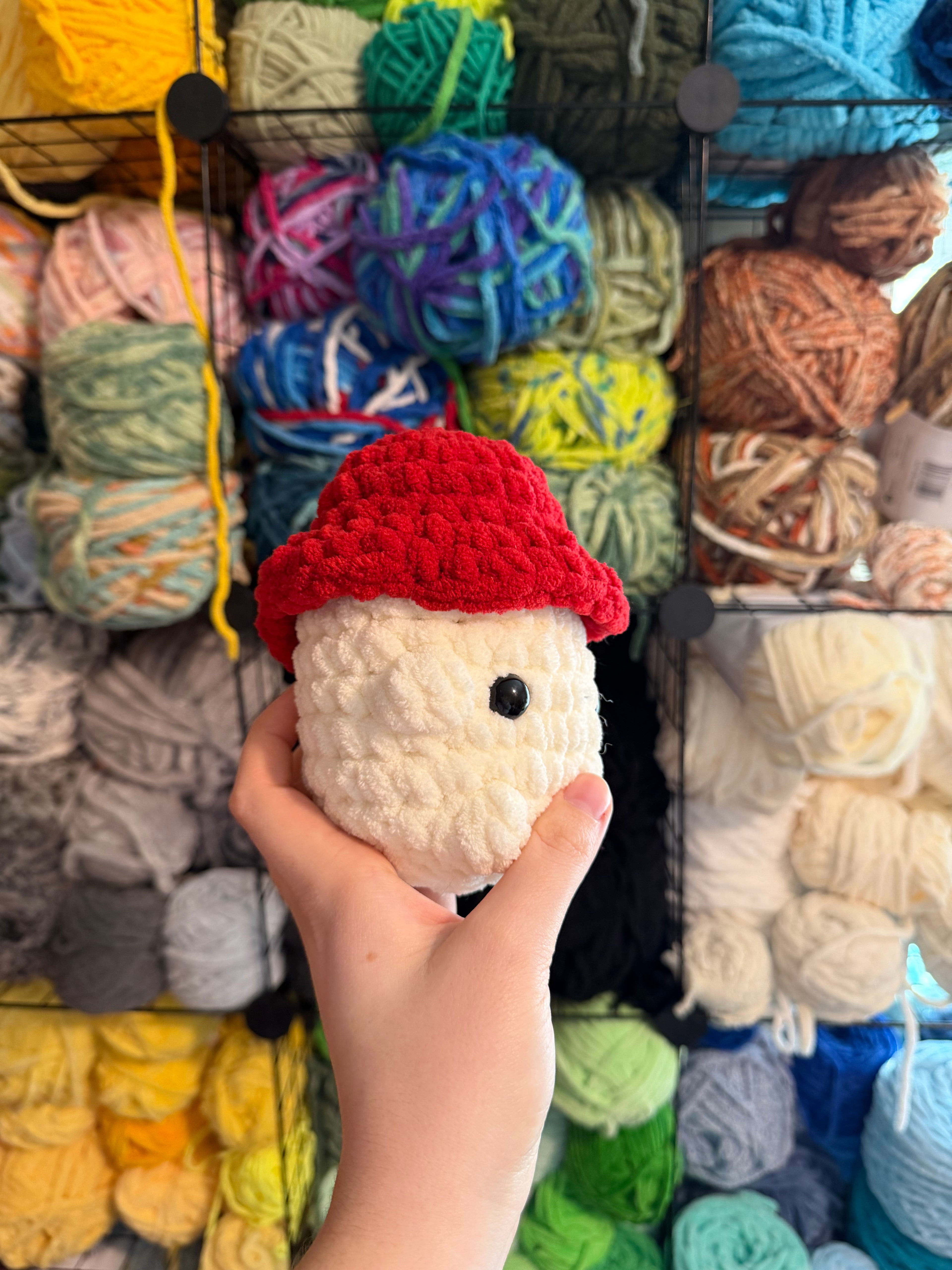 Mushroom Boy