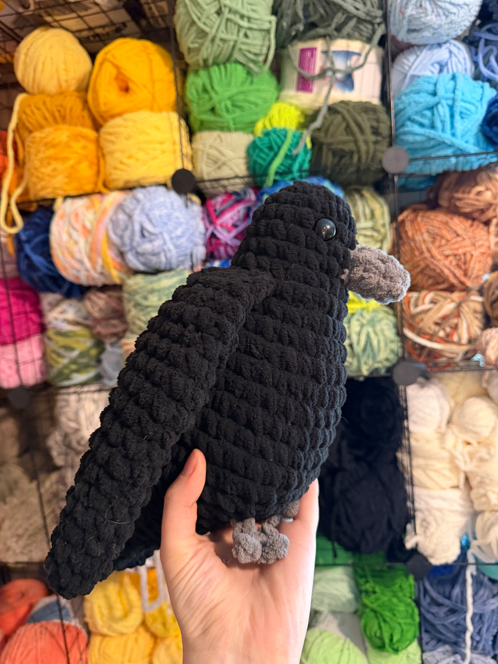 Crow