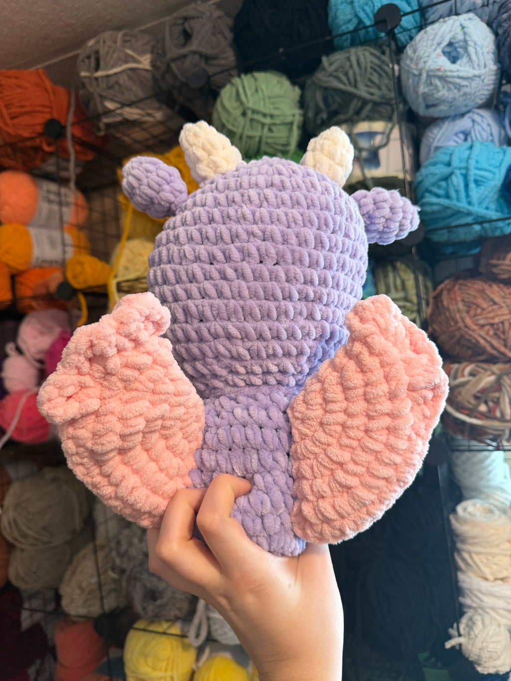 Sitting Dragon