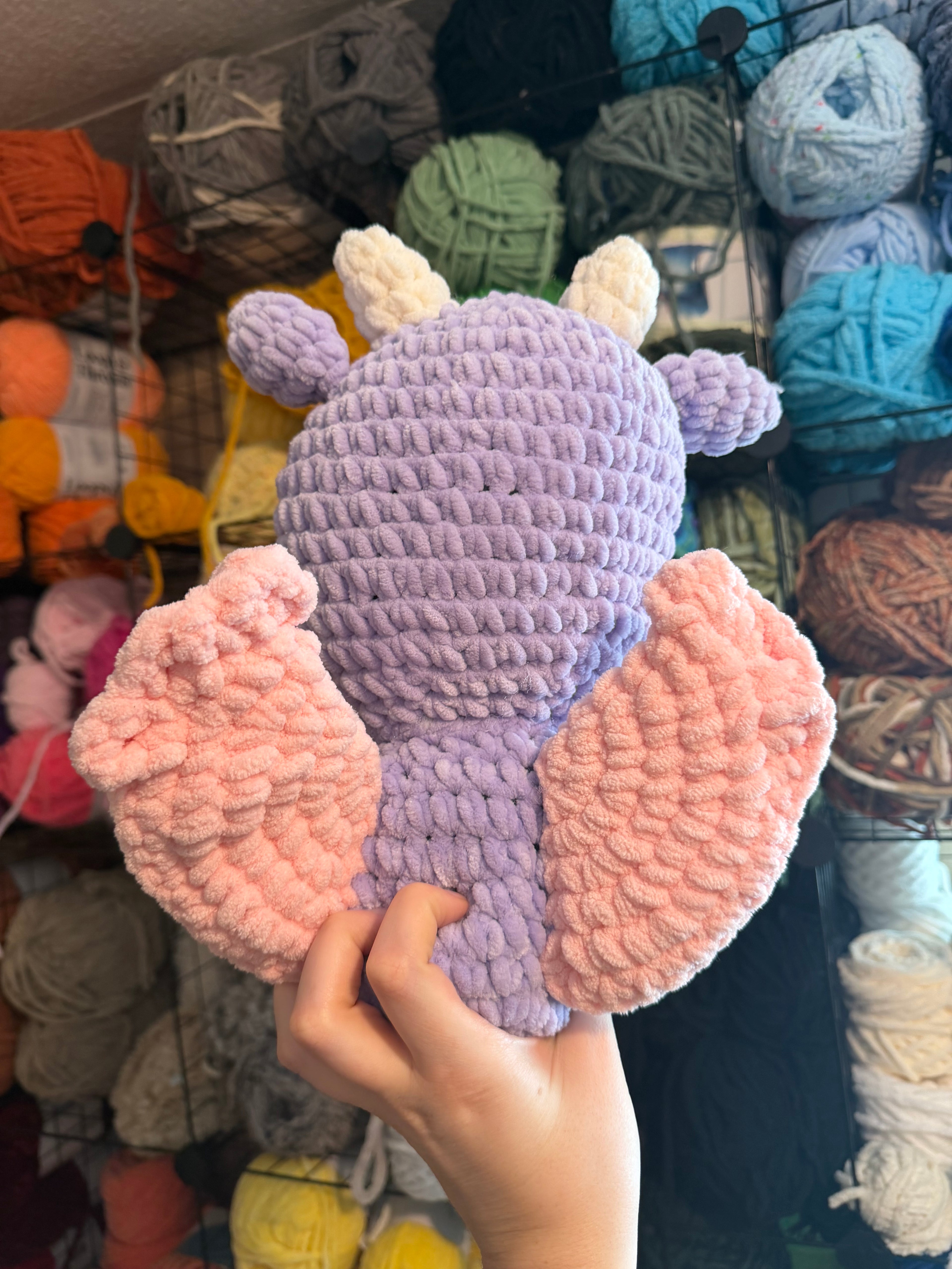 Sitting Dragon