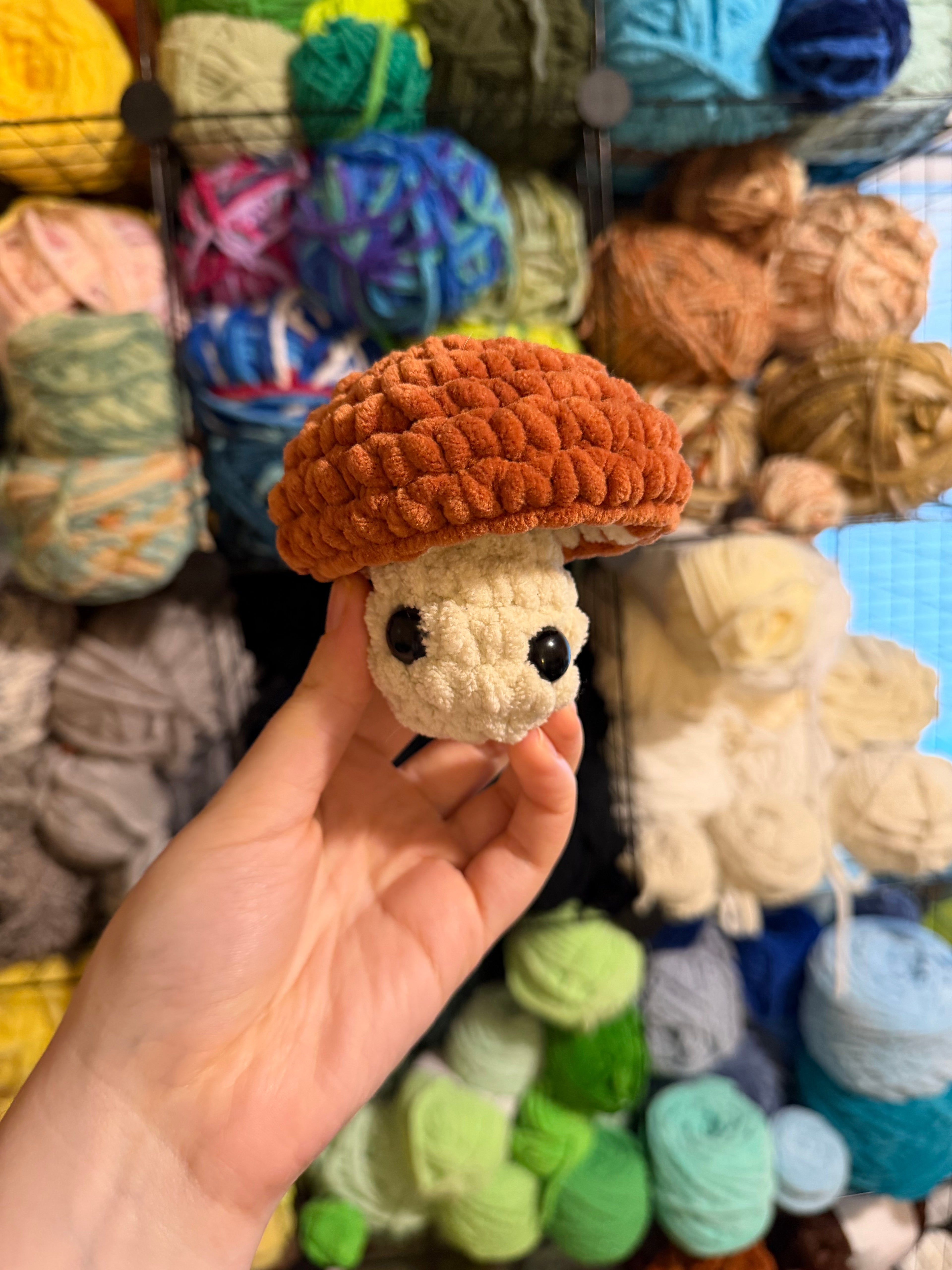 Mushroom Pop