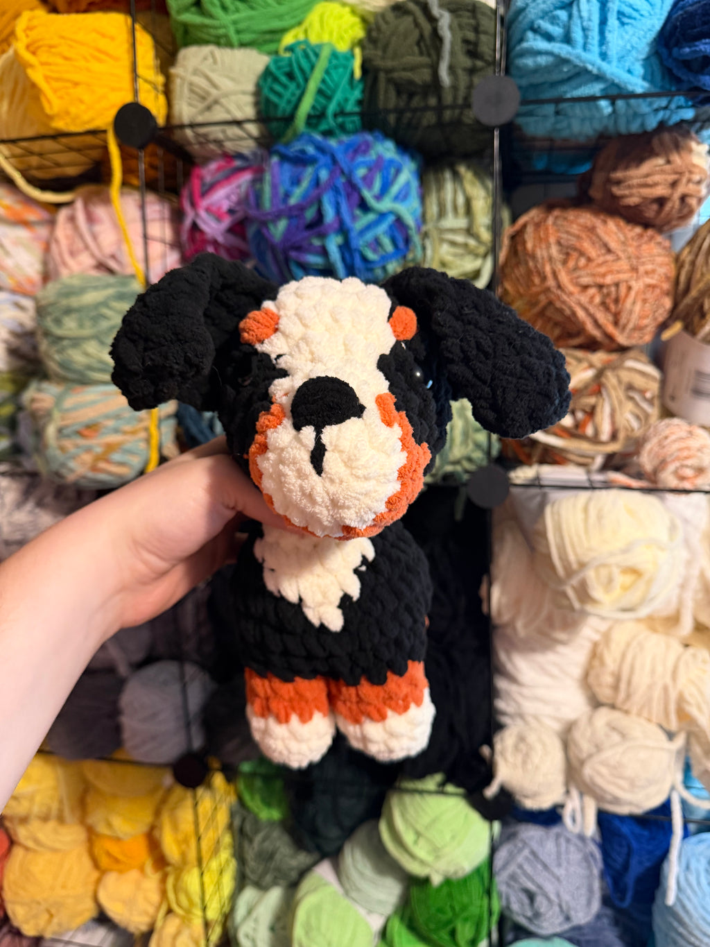 Dog